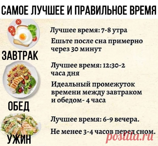 БИОЛОГИЧЕСКИЕ ЧАСЫ