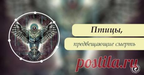 Новости - МирТесен