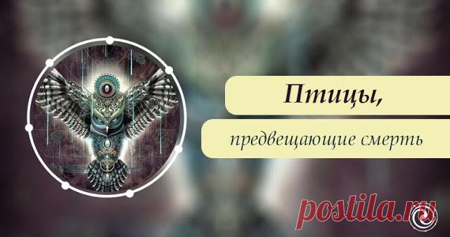 Новости - МирТесен