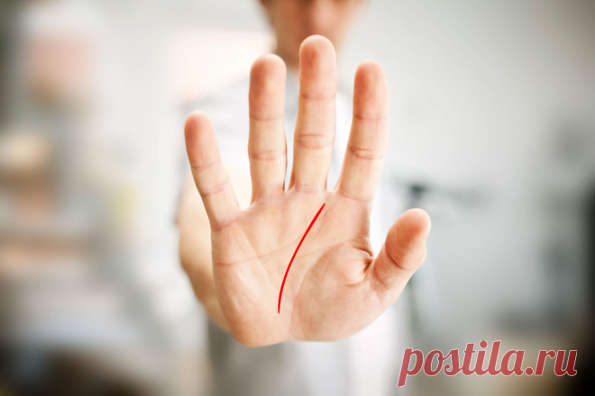 Что скрыто в линиях судьбы? Ликбез по хиромантии | Телеканал ТВ-3 | Яндекс Дзен