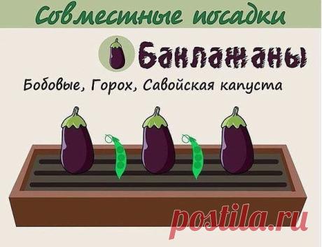 Моя дача