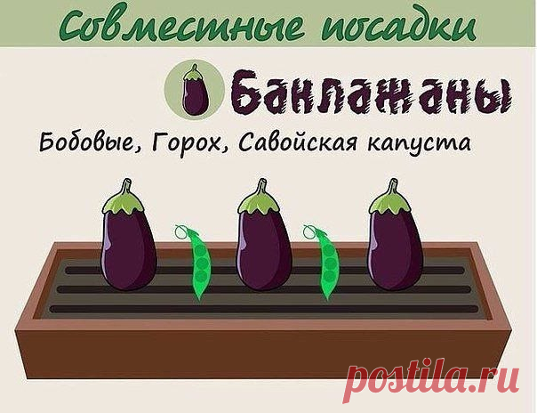Моя дача