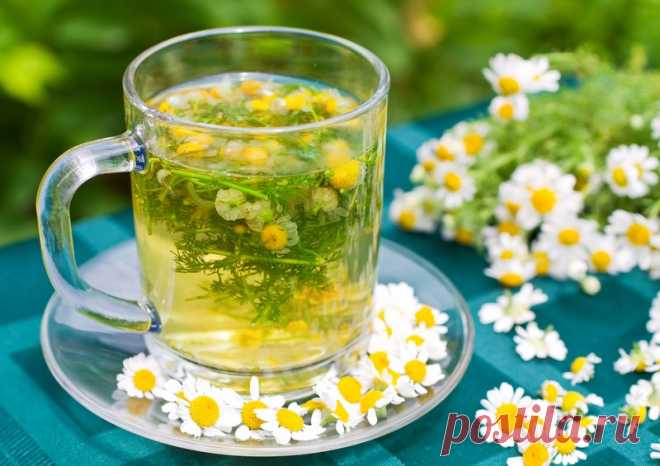 Ромашковый чай: 15 целебных свойств