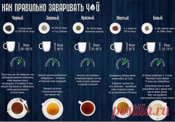 Полезная инфографика для правильного заваривания любого чая! / Спорт Сильных!