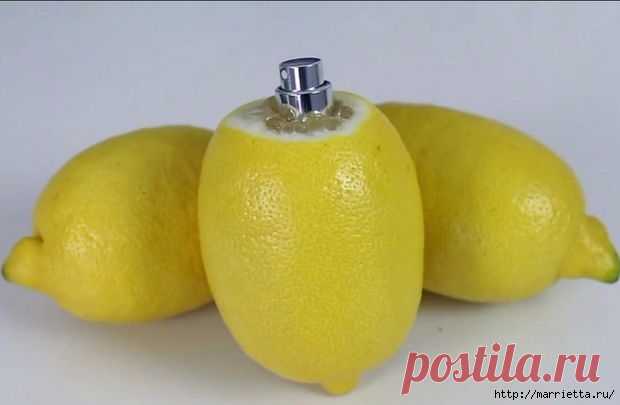 Лимонный распылитель своими руками