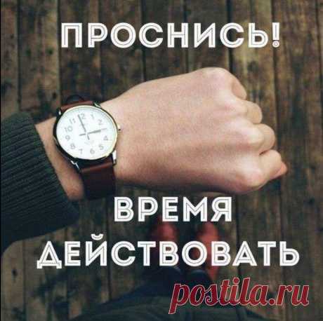 Я не уговариваю! Я предупреждаю!
Это неизбежно, ПРОДАЖА ПРОЕКТА БУДЕТ!
 Вопрос в том : КОГДА И СКОЛЬКО? ФАКТ: Проводится ряд переговоров с крупными фондами. И крупными игроками в Саудовской Аравии на уровне правительства. ФАКТ: Открыты наши представительства в Саудовской Аравии. ФАКТ: Порог входа следующих проектов будет огромный, для крупных игроков.ФАКТ: Для многих из вас это единственный шанс получить разовую прибыль. Используйте эту возможность ДО ТОГО КАК СЮДА ЗАЙДУТ КРУПНЫЕ ИГРОКИ.