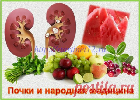 Лечение мочекаменной болезни народными средствами