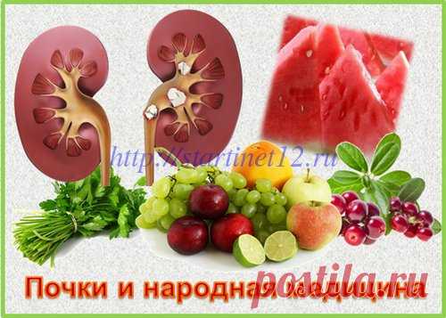 Лечение мочекаменной болезни народными средствами