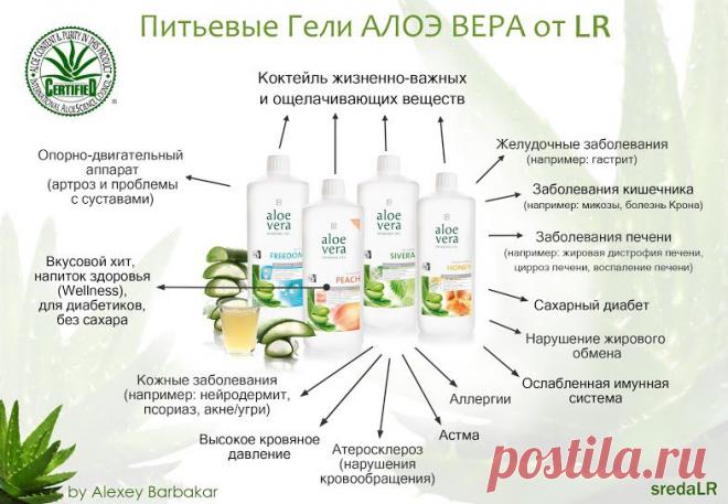 Aloe_Vera_1.jpg - Google Диск