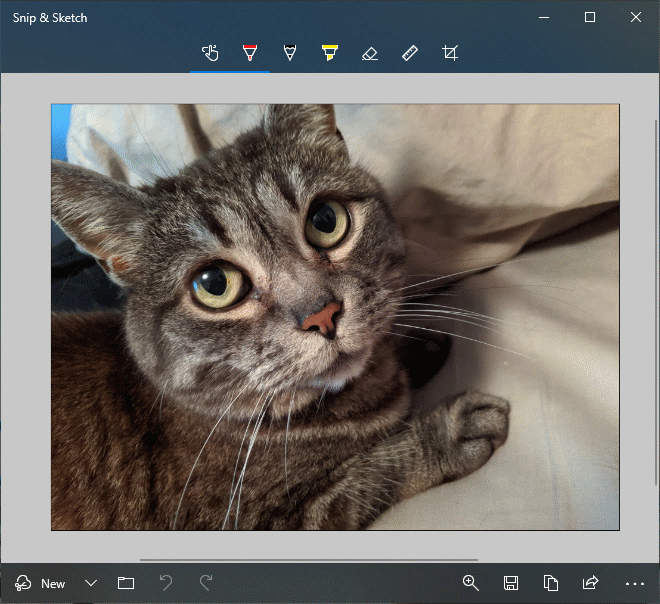 New and updated apps in the Windows 10 Insider Preview Builds 1903 - Windows Insider Program | Microsoft Docs