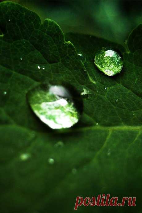 Droplet iPhone Wallpaper HD