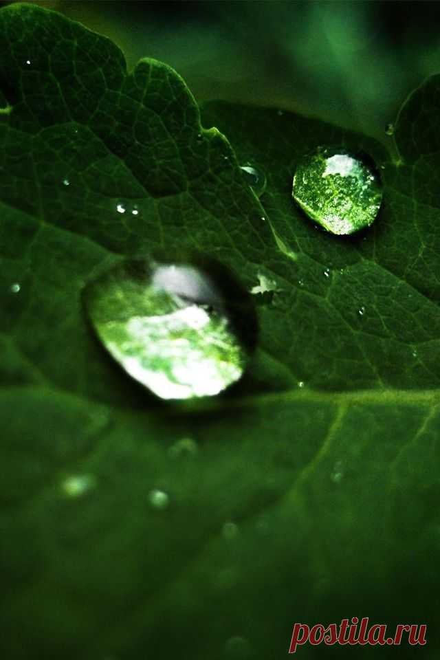 Droplet iPhone Wallpaper HD