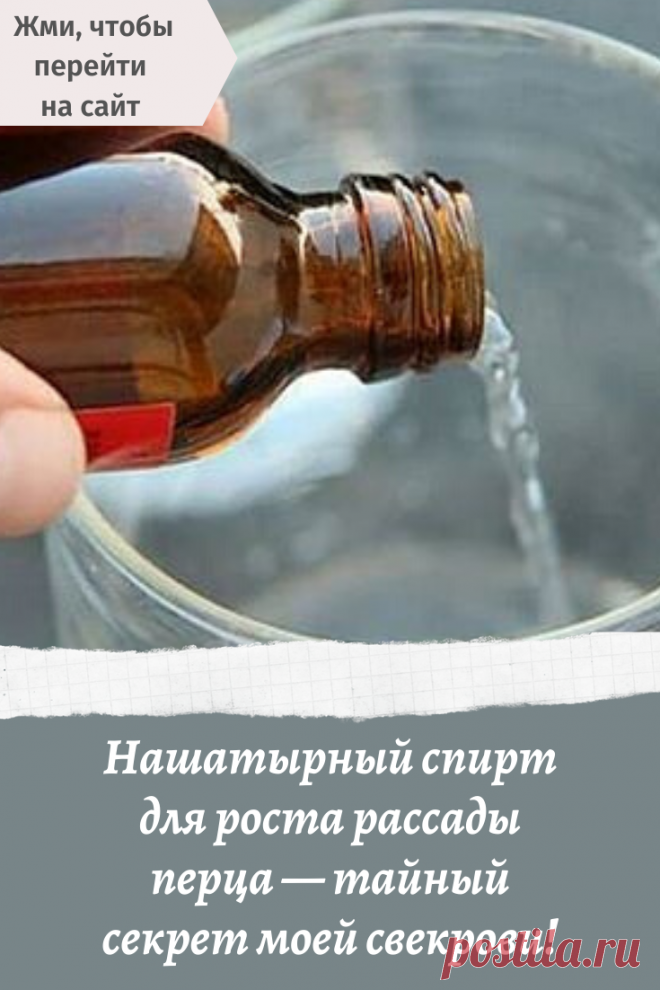 Нашатырный спирт для роста рассады перца — тайный секрет моей свекрови!