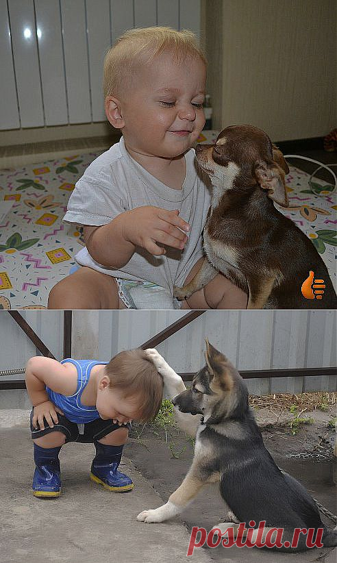 (3) Одноклассники