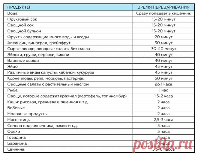 Как долго перевариваются продукты: эту таблицу следует распечатать и повесить на видном месте — В РИТМІ ЖИТТЯ