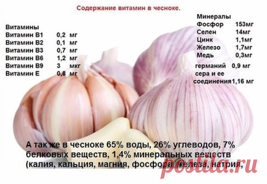 ЧИСТКА ЧЕСНОКОМ 
