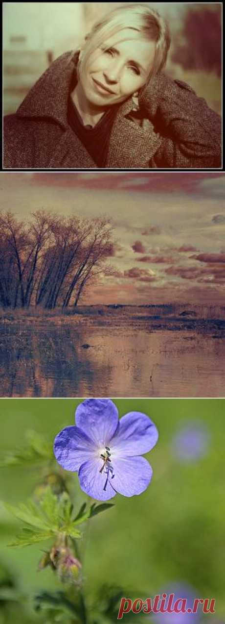 Фотограф Елена Рихтер - Фото и фотограф на Расфокусе.