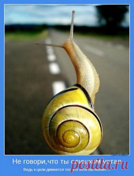 12 правил оптимиста &amp;#8212; Всегда в форме!