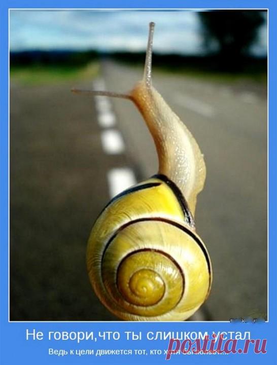 12 правил оптимиста &#8212; Всегда в форме!