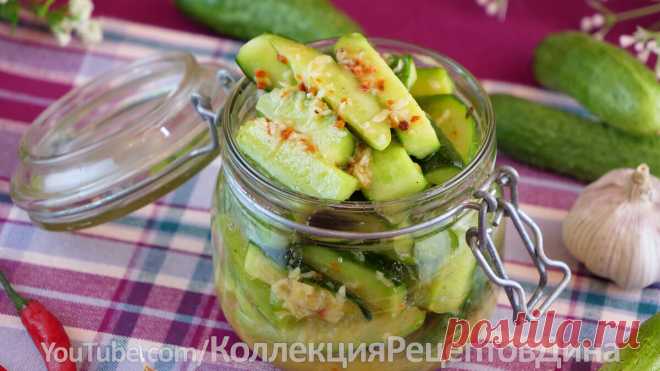 Вкуснейшая закуска из огурцов на зиму и не только! Огурцы в пряном маринаде с горчицей! | Дина, Коллекция Рецептов | Яндекс Дзен
