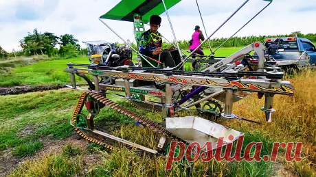 Если на грядке пот льет градом, он может побить урожай 😜😎😂