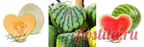 corazon de melon logo - Búsqueda de Google