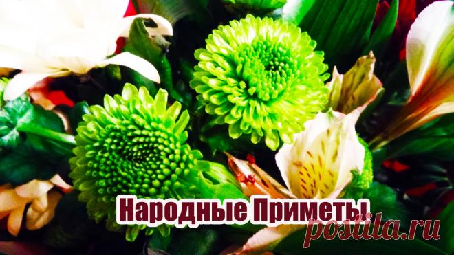 12 февраля - Трёхсвятие! Народные Приметы! Что Нельзя Делать В Этот День! | Поздравления! Приметы! Рецепты! | Яндекс Дзен
