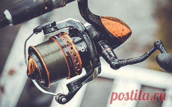 Коллеги, очень нужна ваша помощь! Просьба не забывать о комментариях) / Богатая добыча