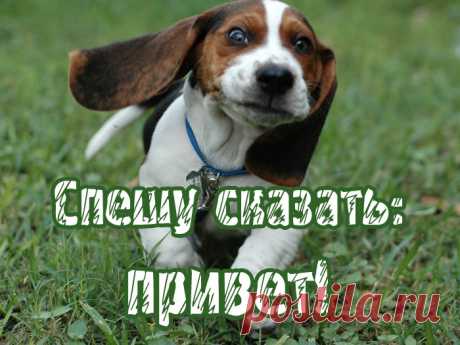 Спешу сказать: Привет!