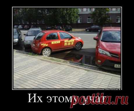 ну не кошки, но забавно..