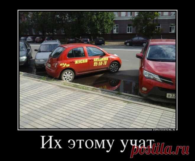 ну не кошки, но забавно..