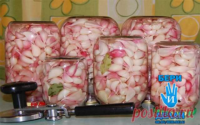Маринованный чеснок. Холодный способ