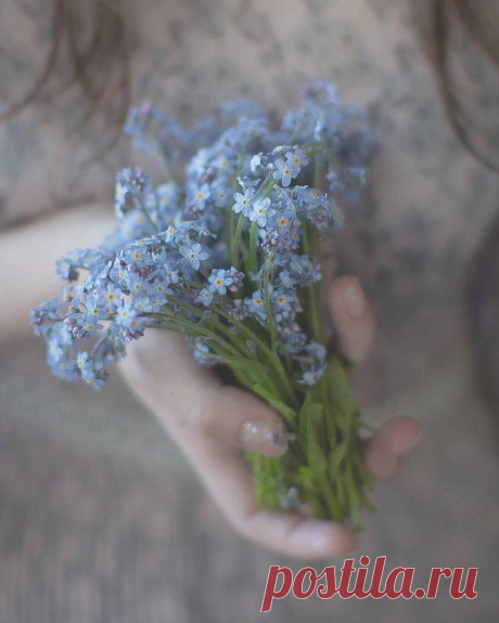 i (736×920)
