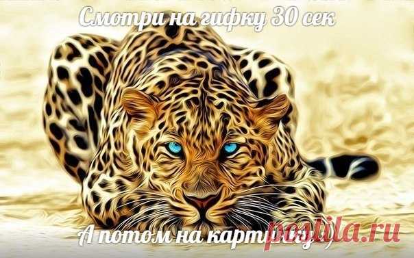 З л ю к а