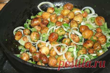 Очень вкусный вариант приготовления молодого картофеля