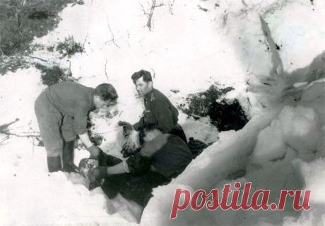 Перевал Дятлова: Чтобы скрыть правду об убийстве туристов, власть придумала ракетную версию // KP.RU