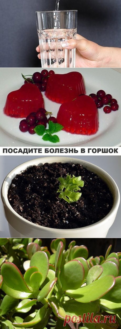 (48) Одноклассники