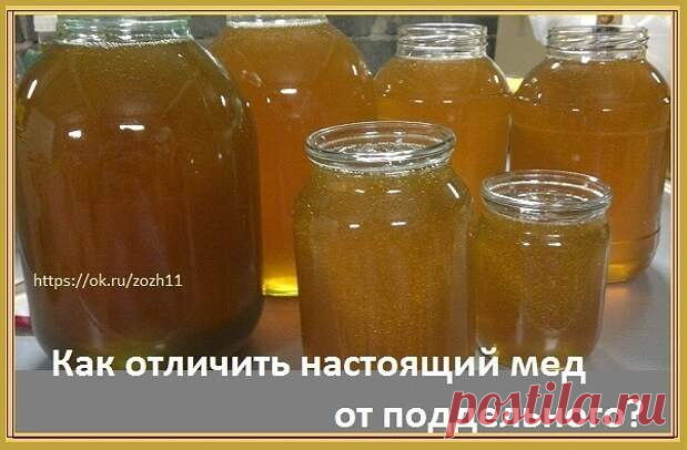 Как отличить настоящий мед от поддельного. - Своими руками! - медиаплатформа МирТесен О полезных свойствах натурального меда знает практически каждый. Но что,если перед нами мед не настоящий, а поддельный? Ведь тогда ни о какой пользе и речи быть не может. Такой мед не то что употреблять внутрь, его и в косметических целях использовать опасно. В данной статье собраны воедино ...