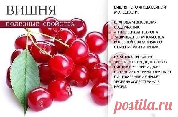 Пейте на здоровье