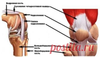 Укрепление суставов и связок