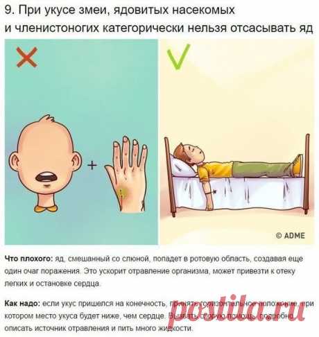 8 известных приемов первой помощи, которые 90% людей делают неправильно. 8 известных приемов первой помощи, которые 90% людей делают неправильно.