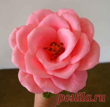 Розы из крепированной бумаги - Бумаготворчество