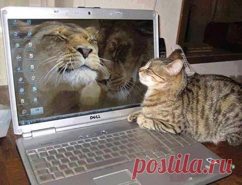 Типа -зеркало