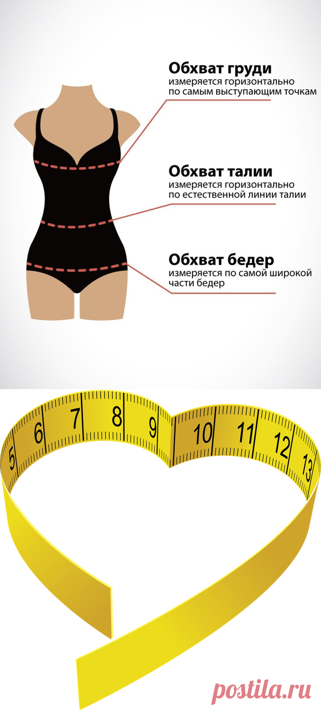 Замеры фигуры. Статьи компании «Интернет-магазин Леди-лайн»