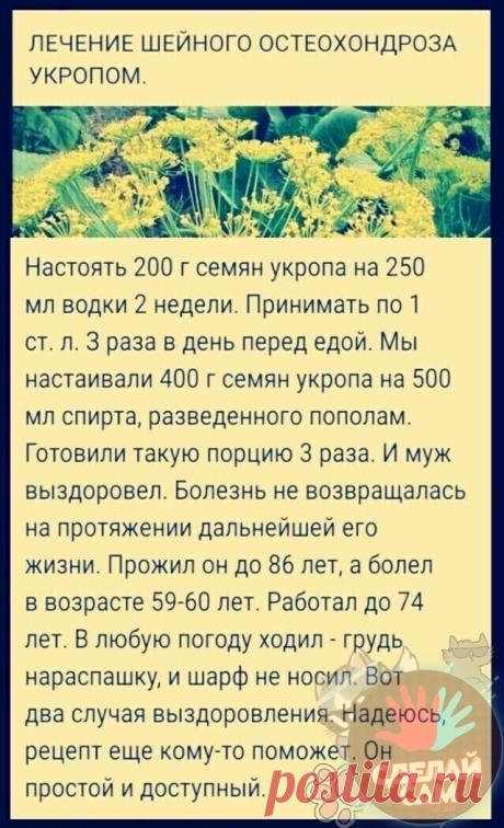Мой Мир@Mail.Ru