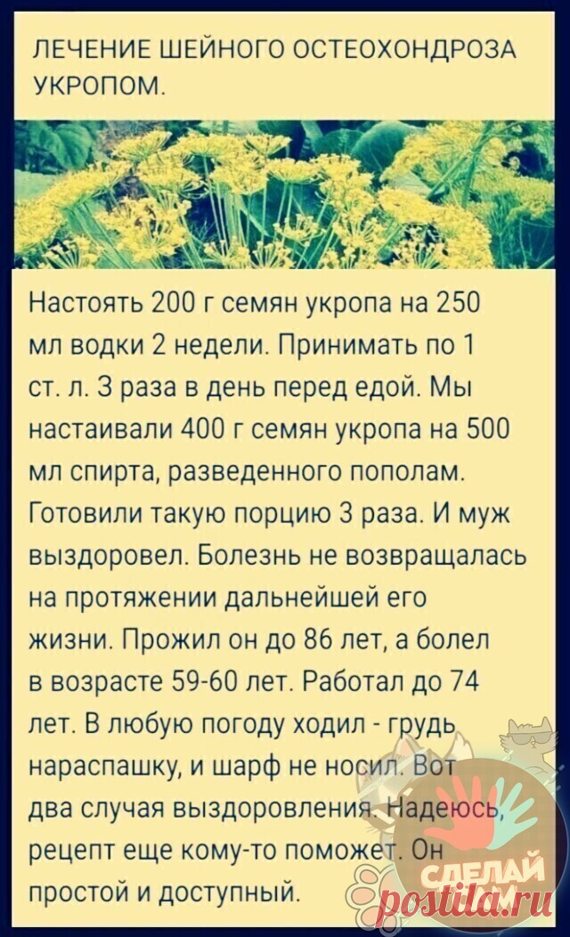 Мой Мир@Mail.Ru