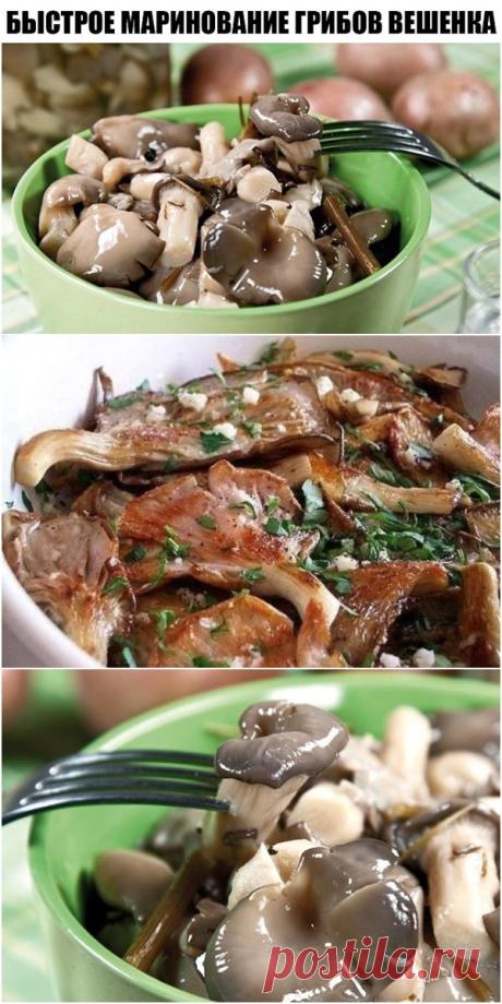БЫСТРОЕ МАРИНОВАНИЕ ГРИБОВ ВЕШЕНКА. Ммммм.... вкуснятинка!
