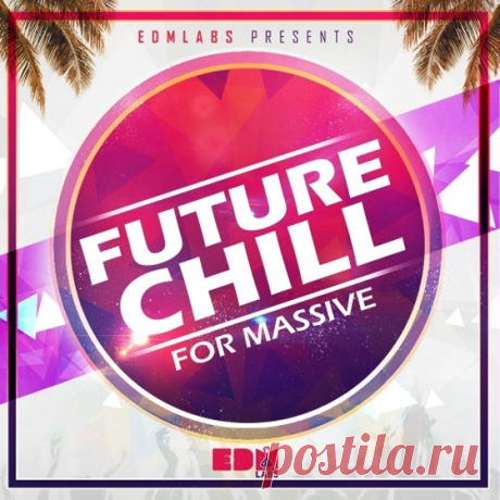 EDM Labs Future Chill for Massive MiDi NMSV-AUDIOSTRiKE  | 4 MB
Produced by Noah of EDMLabs.

Future Chill for Massive provides you with 50 fresh high quality presets ready to be dropped straight into your projects