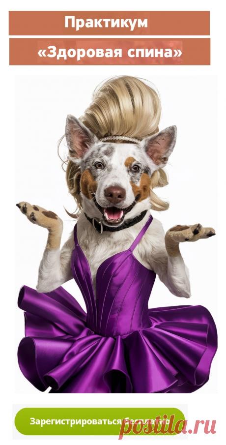 Тот, кто не знает о физиологических причинах заболевания, легко попадает в сети якобы «медицинской» рекламы, которая призывает: прими лекарство (таблетку, мазь), и боль пройдет!
❗ «Здоровая спина»
✔ БЕСПЛАТНЫЙ ПРАКТИКУМ