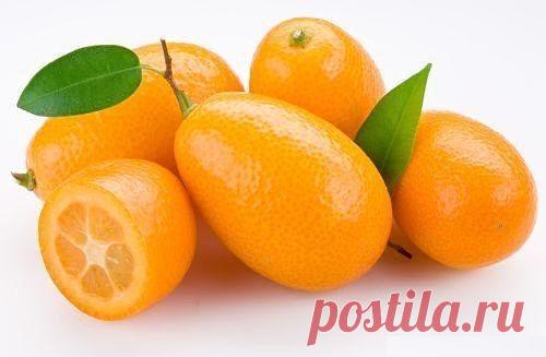 (26) Одноклассники